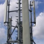 Francia: 40 vacas muertas, el tribunal de Clermont-Ferrand ordena la suspensión de una antena 4G