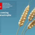 The Economist profetiza una “catástrofe alimentaria global” y propone una “intervención armada de una amplia coalición”