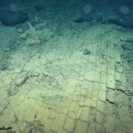 La Atlántida existe: Científicos encuentran un camino de baldosas amarillas en las profundidades del océano
