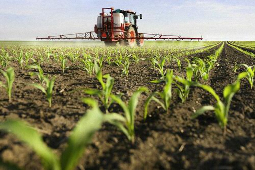 Señales alarmantes de que los agricultores reducen el uso de fertilizantes pueden arruinar los rendimientos de los cultivos