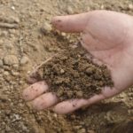 La compañía de fertilizantes más grande del mundo advierte interrupciones en los nutrientes de los cultivos hasta 2023