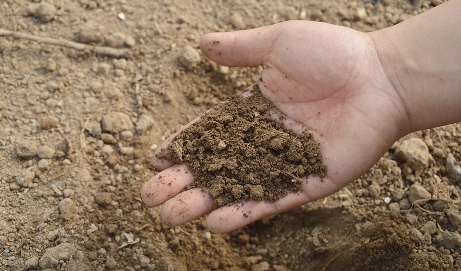 La compañía de fertilizantes más grande del mundo advierte interrupciones en los nutrientes de los cultivos hasta 2023