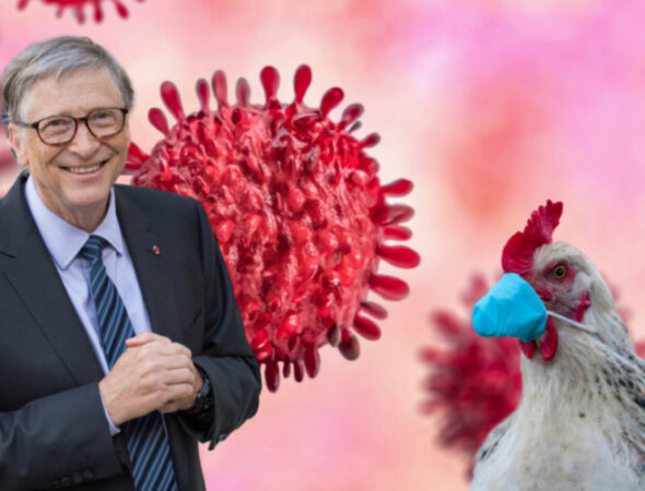 gates-virus-810x500