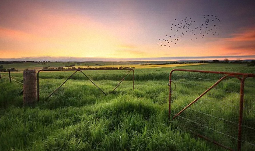 Bienvenido al 2030: Soy dueño de la tierra, vivo entre personas de ideas afines y la vida nunca ha sido mejor