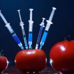 Alimentos transgénicos: El “floreciente” negocio creado por gobiernos totalitarios, corruptos y empresas sin valores