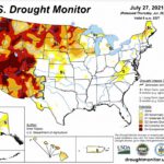 Collapsifornia: el gobernador de California, Gavin Newsom, ordenará el racionamiento de agua, alimentos y energía