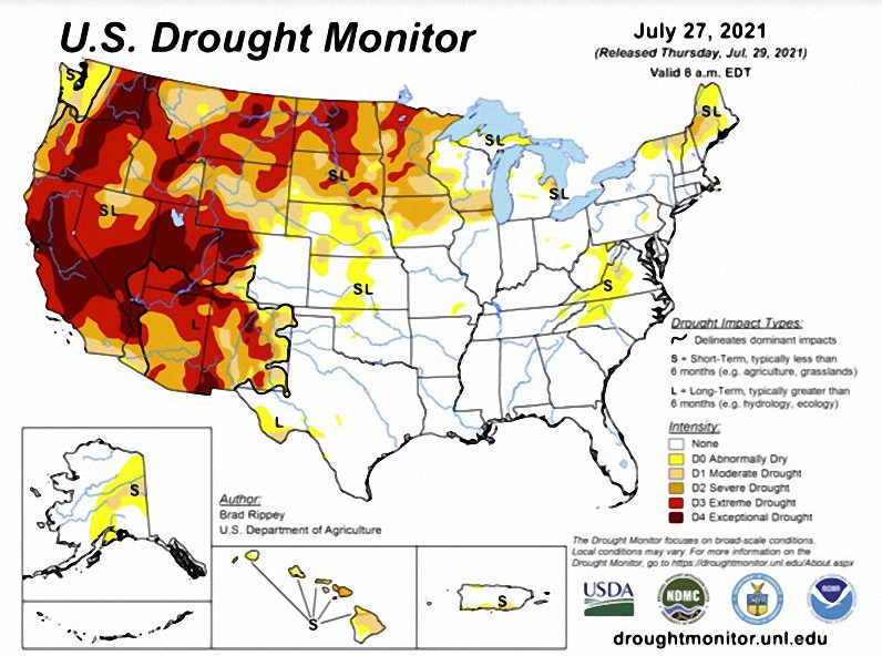 Collapsifornia: el gobernador de California, Gavin Newsom, ordenará el racionamiento de agua, alimentos y energía