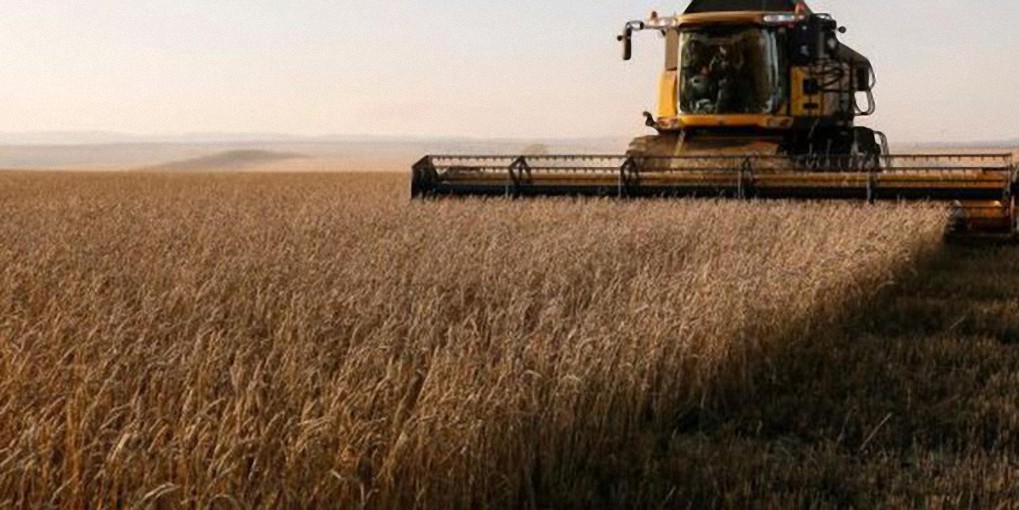 Rusia exportará productos agrícolas solo a «países amigos»