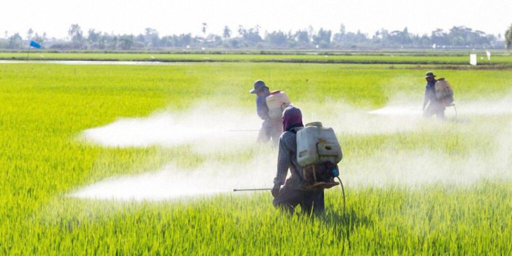 El pesticida tóxico que está matando a las abejas y amenaza la seguridad alimentaria mundial