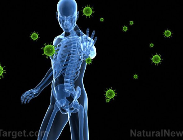 Immunity-Defense