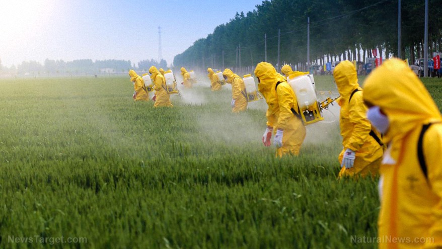 Sucediendo ahora: La degradación de las generaciones futuras a través de alimentos contaminados, agua contaminada, medicamentos tóxicos, vacunas mortales y más