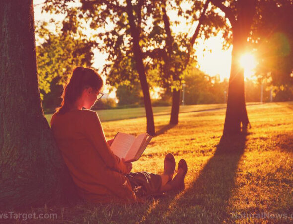 Read-Book-Summer-Outside-Girl-Park-Nature