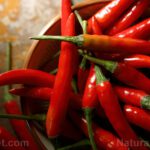 Compuestos en jengibre y chiles encontrados para prevenir el cáncer