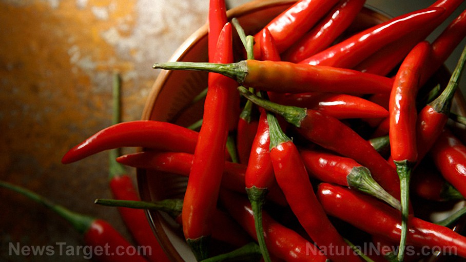 Compuestos en jengibre y chiles encontrados para prevenir el cáncer