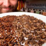 Empresa canadiense se compromete a producir dos mil millones de insectos al año para consumo humano