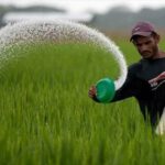 La UE dice que África debería dejar de comprar fertilizantes rusos, pero no pueden fabricarlos ellos mismos