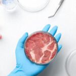 Las mentiras detrás de la carne falsa cultivada en laboratorios