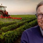 Por qué Bill Gates enfrenta obstáculos para adquirir una gran cantidad de tierras de cultivo en Dakota del Norte