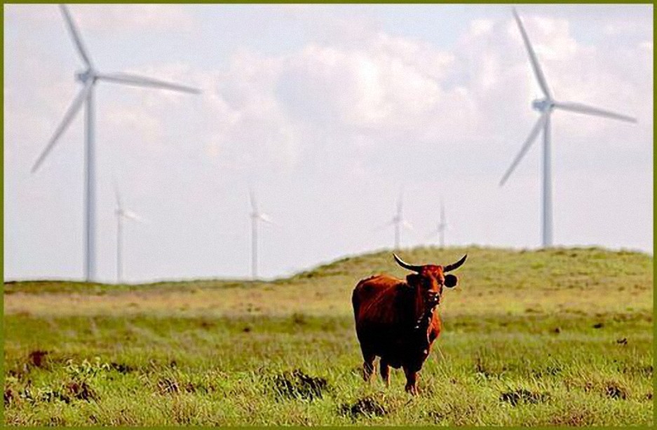 La energía eólica de Texas está fallando justo cuando el estado más la necesita