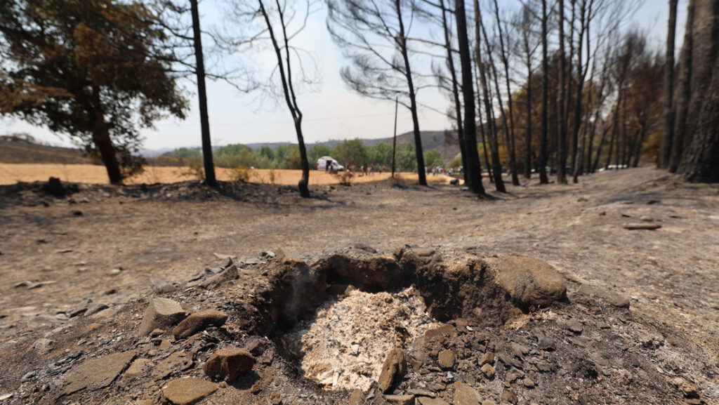 Una compañía de reforestación de alta tecnología admite estar detrás de un incendio forestal en España