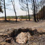 Una compañía de reforestación de alta tecnología admite estar detrás de un incendio forestal en España