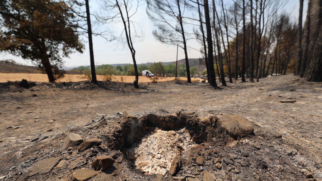 Una compañía de reforestación de alta tecnología admite estar detrás de un incendio forestal en España