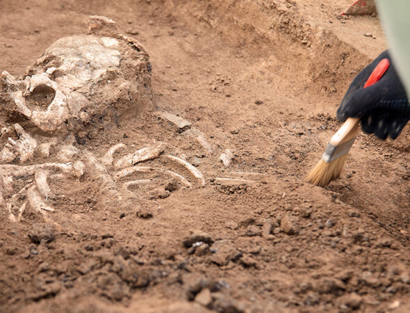 Archaeologist-Bones-Dirt-Fossil-Brush