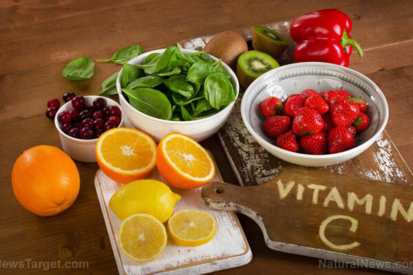 C-Vitamin-Food-Bowl-Cartoon-Cranberry-Diet