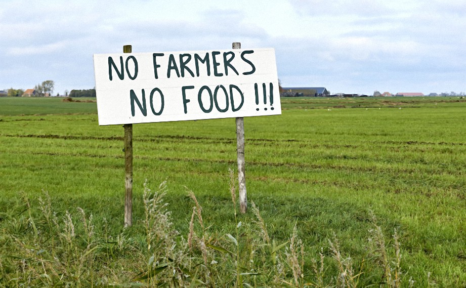 El gobierno holandés está a la vanguardia de la revolución alimentaria totalitaria del Foro Económico Mundial