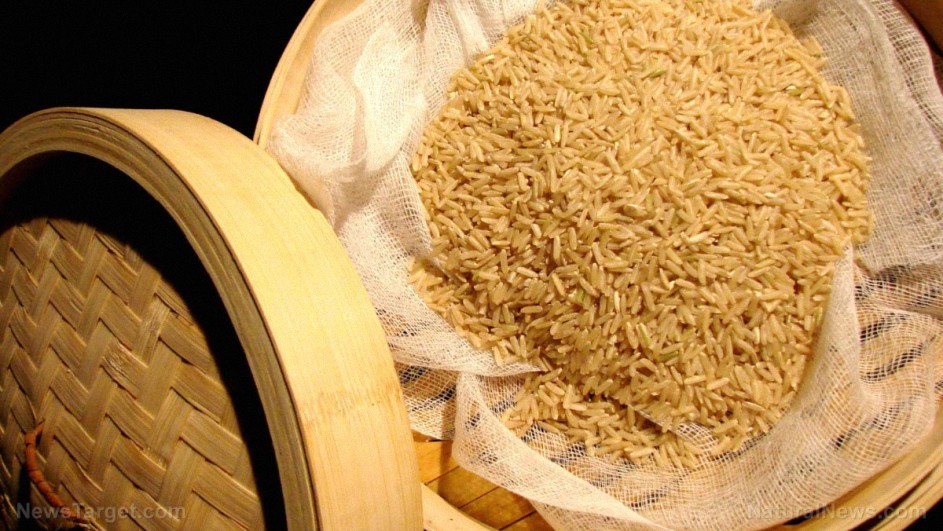 Arroz integral orgánico: una de las variedades de arroz más saludables y nutritivas