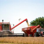 Los agricultores argentinos luchan contra los paralizantes impuestos a la exportación