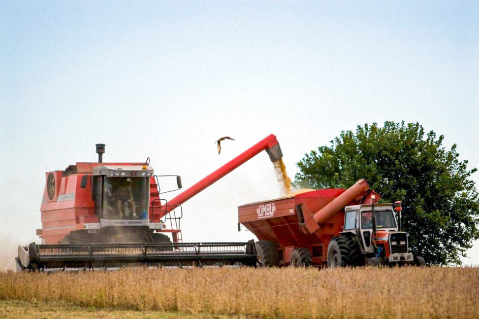 Los agricultores argentinos luchan contra los paralizantes impuestos a la exportación