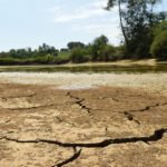 Francia crea una unidad anticrisis para hacer frente a la peor sequía de su historia