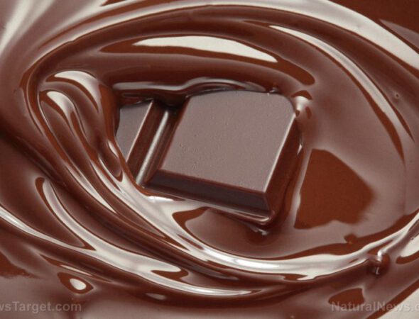 Chocolate-Making-Dark-Swirl-Confectionery-Homemade-Bar