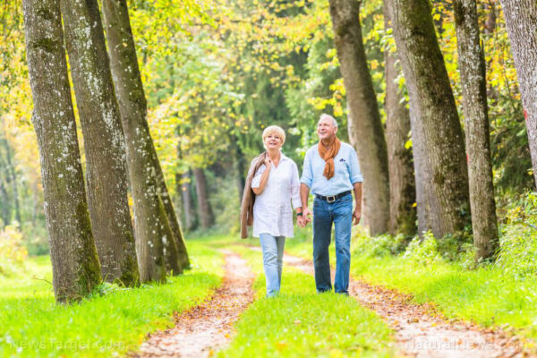Couple-Senior-Walk-Autumn-Forest-Path-Man