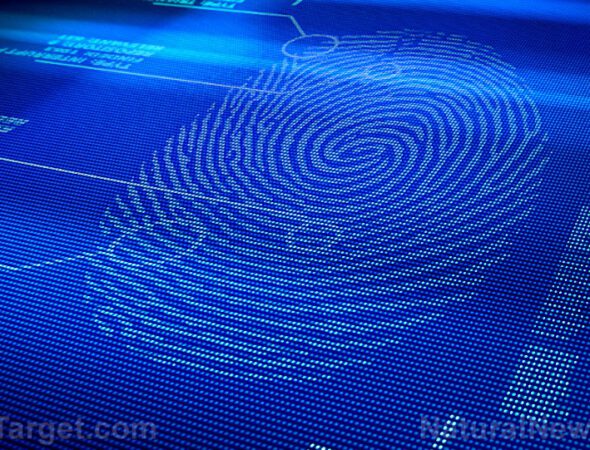 Digital-Fingerprint-Scan-Identity