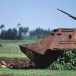 Las protestas de agricultores holandeses demuestran que la utopía ‘verde’ es una guerra contra nuestra forma de vida