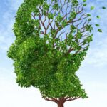 Estudio: el glifosato puede causar la enfermedad de Alzheimer