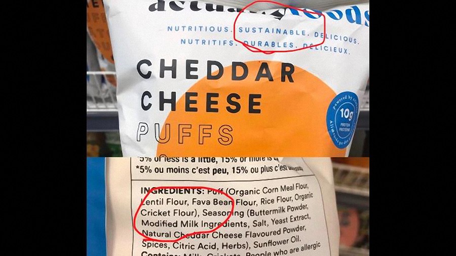 Te Comerás los Insectos: Las Principales Marcas Introducen Insectos en Tu Comida Silenciosamente