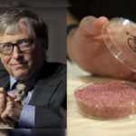 Bill Gates está llevando a cabo en silencio un plan siniestro para obligarte a comer carne falsa