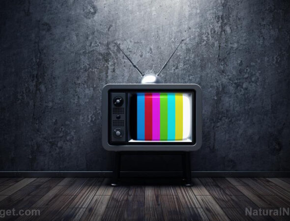 Tv-Television-Old-Media-Retro-Broadcast-Vintage