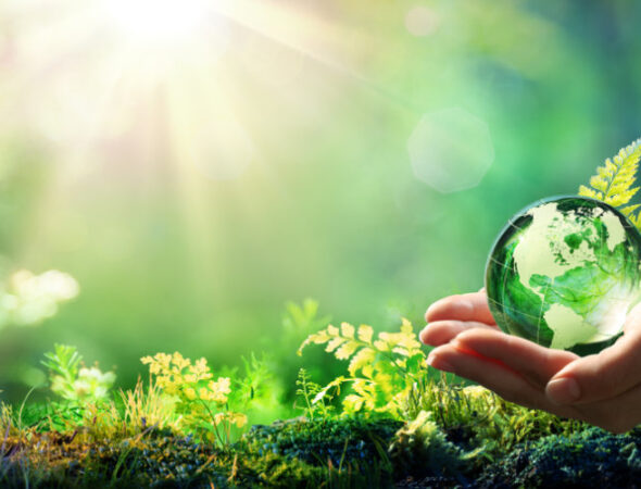 Hands,Holding,Globe,Glass,In,Green,Forest,-,Environment,Concept