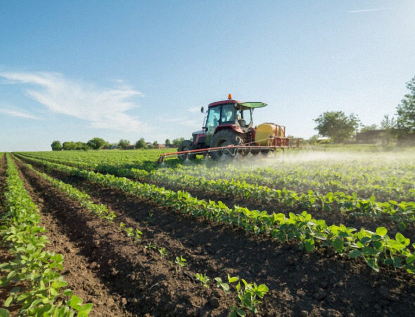 Globalistas advierten «desaparecerán los agricultores en todo el mundo»