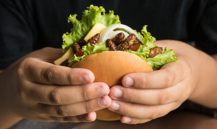 Un restaurante en Tailandia ofrece hamburguesas con grillos que no crujen