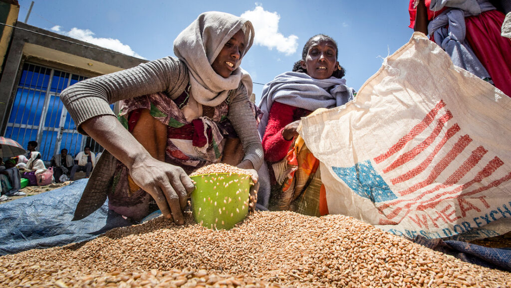 «Un tsunami de hambre»: La ONU advierte el riesgo que enfrentan hasta 345 millones de personas