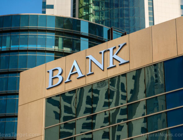 Bank-Building-Concept-Investment-Facade-Wall-Branch