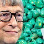 Las ‘semillas mágicas’ de Bill Gates no resolverán el hambre en el mundo pero ‘crearán un desastre ecológico’