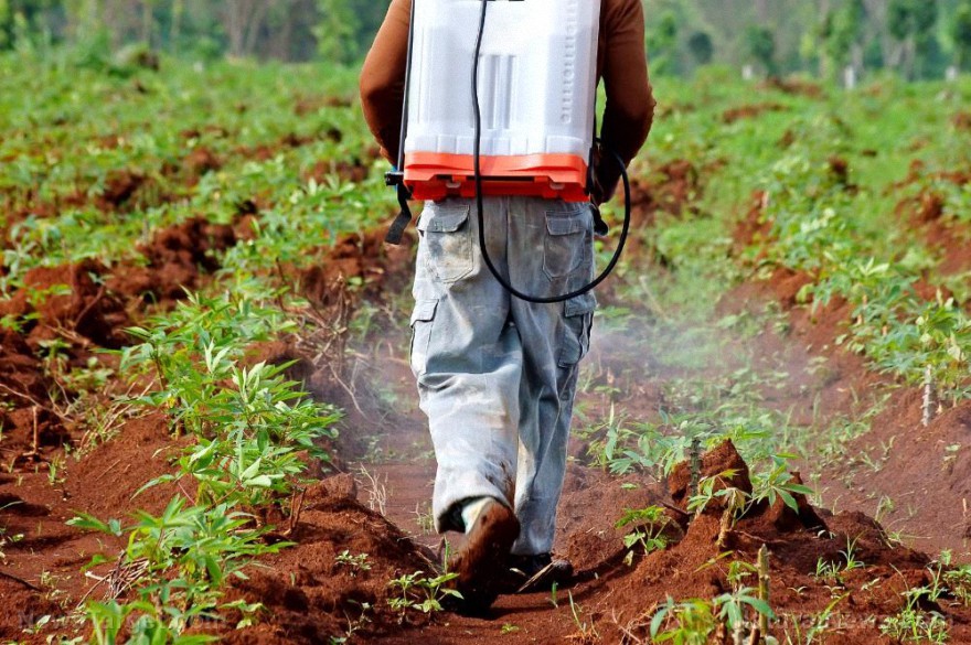 Agricultor de Missouri critica las costosas y contraproducentes respuestas de los gobiernos al cambio climático