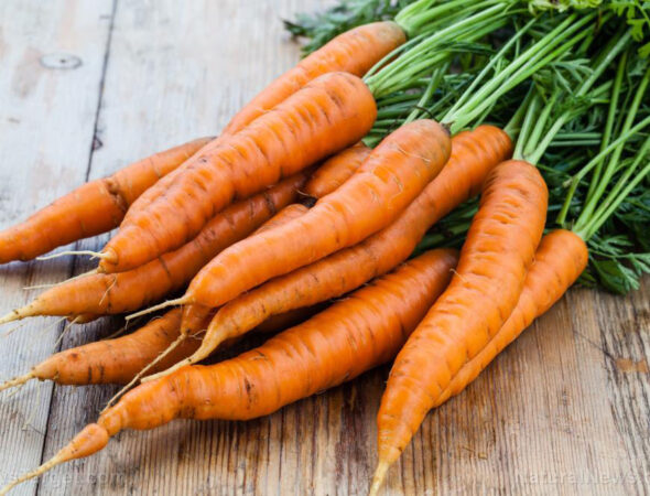 Fresh-Carrots-Bunch