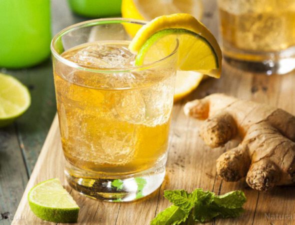 Organic-Ginger-Ale-Soda-Glass-Lemon